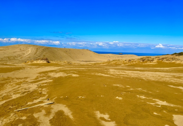 AIが予測する実勢価格の地価ランキング【鳥取県】3位日吉津村、2位米子市、1位はどこ？ 10年後の価格も予想