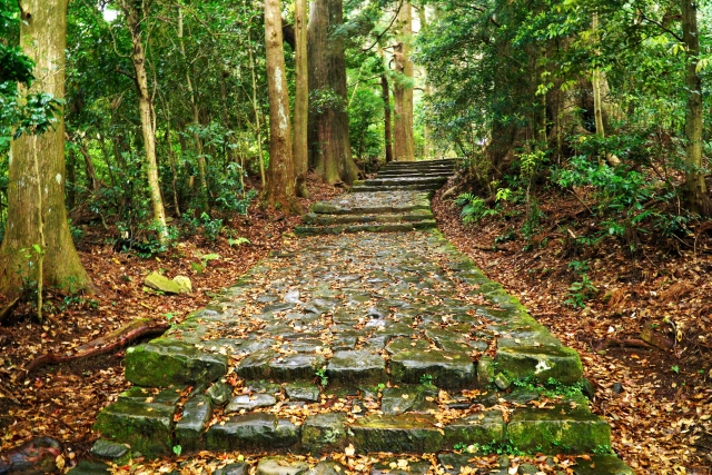 AIが予測する実勢価格の地価ランキング【和歌山県】3位海南市、2位白浜町、1位はどこ？ 10年後の価格も予想