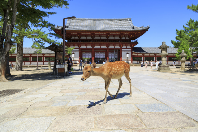 奈良県の地価はどうなっている？