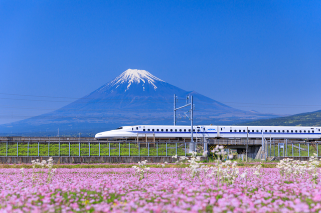 静岡県の地価はどうなっている？