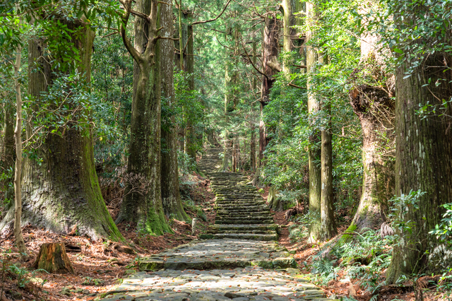 和歌山県の地価はどうなっている？