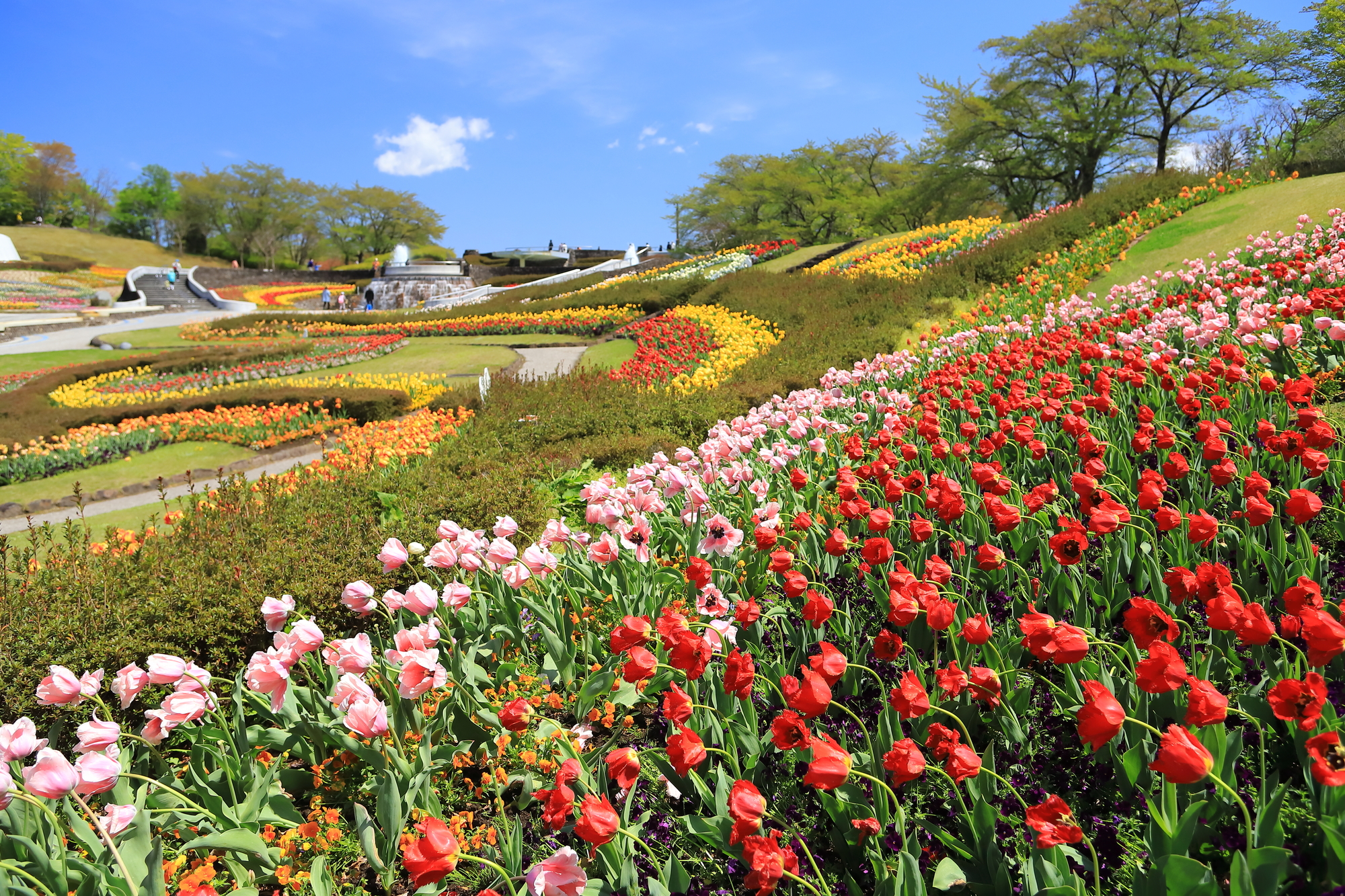 治安がもっとも良い市区町村は「川崎町」