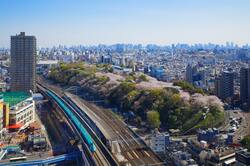 飛鳥山の満開の桜と新幹線(出典:PIXTA)
