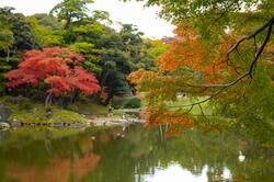 小石川後楽園