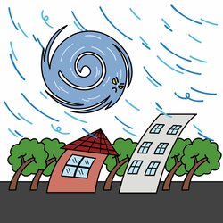 台風 保険の対象