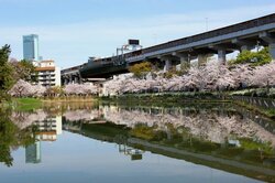 田辺駅周辺の桃ケ池公園