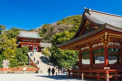 鎌倉市の鶴岡八幡宮