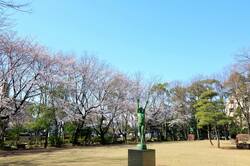 埼玉県戸田市の風景 後谷公園