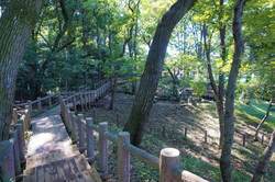 朝霞市 滝の根公園