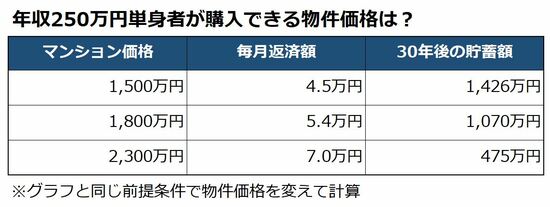 年収250万円シミュレーション